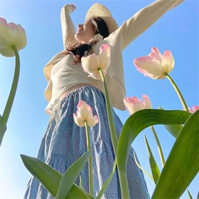 新唐老鸭俱乐部第二季